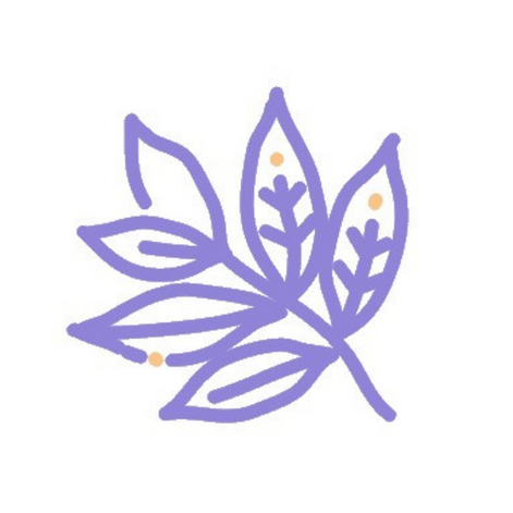 茶樹油